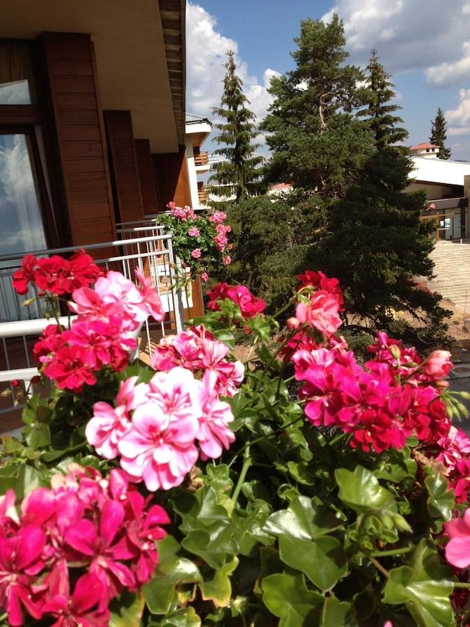 Dafovska Hotel Pamporovo Exterior foto